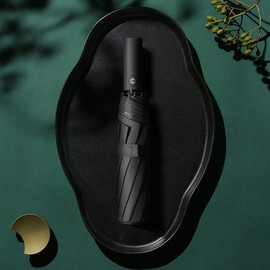 Feimvbe Travel Umbrella, Windproof Automatic Umbrella Compact Sized Portable Personal Umbrella with 10 Rib Reinforced Canopy and Auto Open & Close Function (Black)