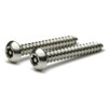 Torx w/Pin Tamper Proof Security Button Head Sheet Metal Screws