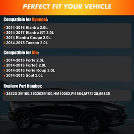 2014-2017 High Pressure Fuel Pump Compatible for Hyundai Elantra GT Tucson 2014-2017, for Kia Forte Koup Forte5 Soul 2.0L 2014-2016, Replace 35320-2E100