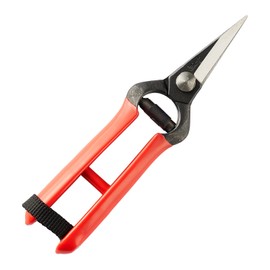 Kiri Forged Strong Type Garden Shears, Made in Japan, Niigata, Sanjo, Suitable for Detailed Work, Vegetable Harvesting, Fruit Tree Bud Cutting and Fruit Thinning, Hirosaki Type Bud Shears