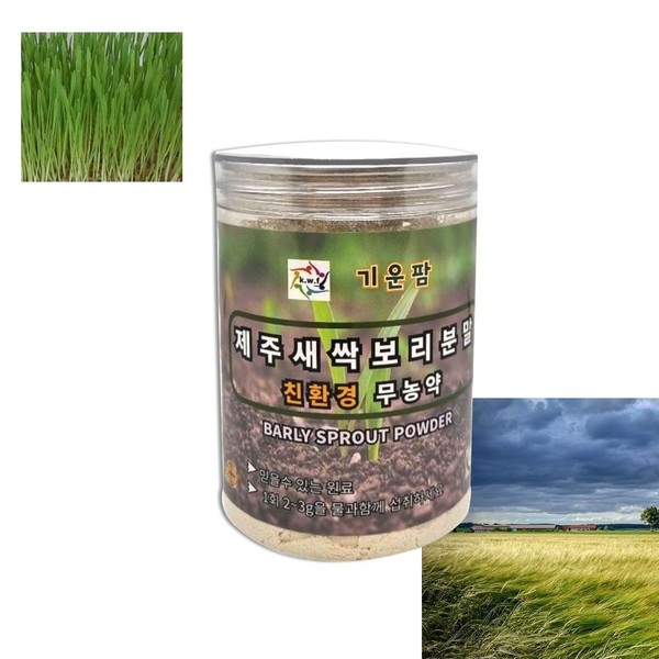 How to eat Jeju sprout barley powder, pesticide-free 200g, sprout barley powder 200g / 제주 새싹 보리 분말 순 가루 먹는법 무농약 200g, 새싹보리 분말 200g