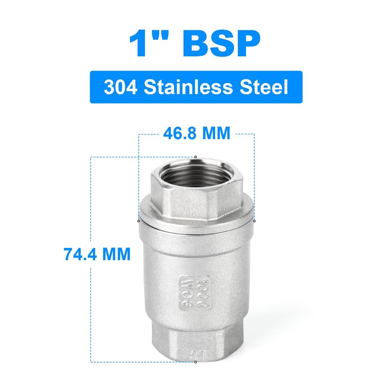 ERGAOBOY 1" BSP Female Thread x Female Thread, 304 Cast