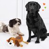Edupet 06013AA Dog Love Dog Toy with Rope Squeaky
