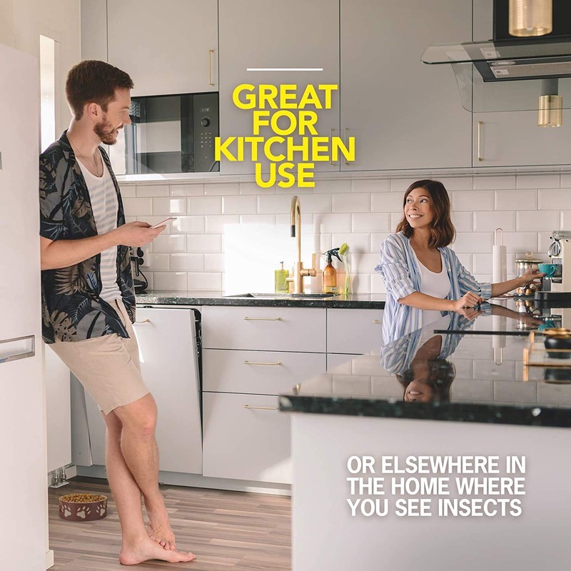 Raid Ant and Roach Killer, Aerosol Spray with Essential Oils