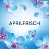 Lenor Laundry Perfume April Fresh 495 g, Non-Stop Freshness for