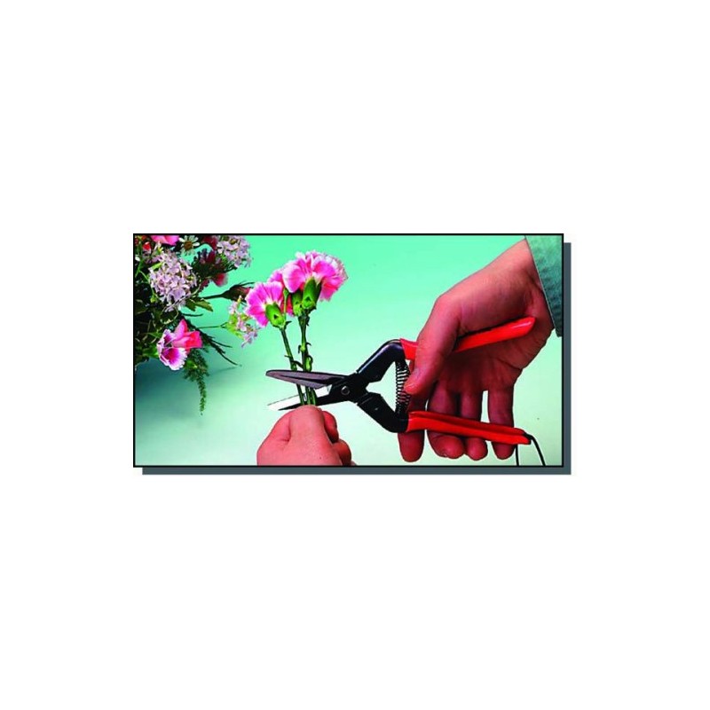 CHIKAMASA E-6C Farm Work Shears for Professional Gardening