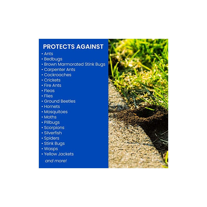 BioAdvanced Complete Insect Killer for Soil and Turf, Ready-to-Spray, 32