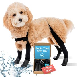 Walkee Paws Walkee Paws New Deluxe Easy-On, Dog Suspender Boot Leggings. Plus Chest Strap. Waterproof Booties for Small Dogs and Medium Sized Dogs, Protect Paws from Rain, Snow, and Snow Melt (XS-Tall, Black)