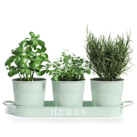 Barnyard Designs Herb Pot Planter Set with Tray for Indoor Garden or Outdoor Use, Decorative Soft Mint Metal Succulent Potted Planters for Kitchen Windowsill, (Set of 3, 4.25” x 4” Planters on 12.5” x