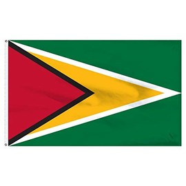 Trade Winds 3x5 Guyana Flag 3'x5' House Banner Brass Grommets Super Polyester Premium Fade Resistant