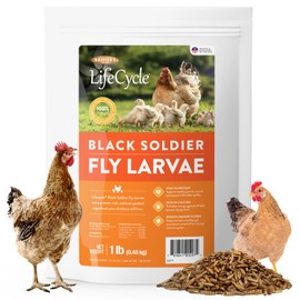 Brooks Brand Black Soldier Fly Larvae Chicken Treats, Mealworms Alternative, Grubs for Chickens, High Calcium for Laying Hens, Made in USA, 1 lbs