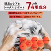 DOROSCRUB Clay Scalp Shampoo for Men Thick Foam Velvet Musk