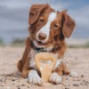 Benebone Dental Hundekauspielzeug für Aggressive Kauer, echtes Huhn, Größe M