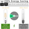 NOVELUX 5 Inch Edison Bulb, 2700K Soft White E26 Led