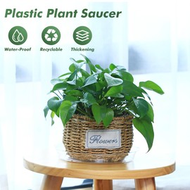 UltraOutlet 30 Pack Clear Plant Saucers for Indoors (4, 6, 8 inch) Flower Pot Saucers for Potted Plants Plant Plate Set Plant Trays for Indoors No Holes Plant Trays for Pots Plant Drip Trays Bulk