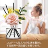 Cocodor Rose Flower Reed Diffuser/Lovely Peony/6.7oz(200ml)/1 Pack/Reed Diffuser, Reed Diffuser