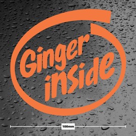 Ginger Inside Funny Car Window Sticker - Dub JDM Jap Campervan Off Road Rat Look