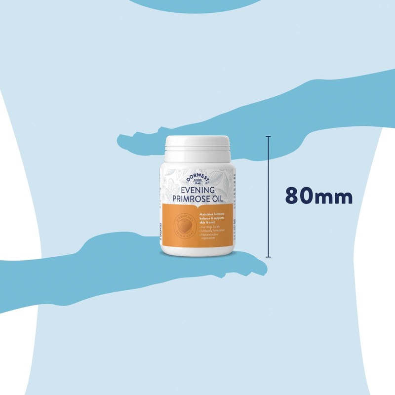 Dorwest Herbs Evening Primrose Oil Capsules for Dogs and Cats