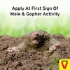 Victor Mole & Gopher Repellent Ready-to Use Spray - M8002-32