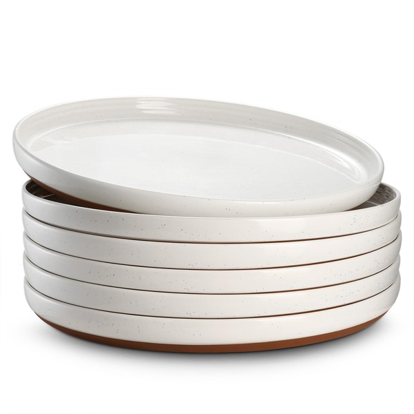 DOWAN 10.5” Ceramic Dinner Plates Set of 6, White Plates