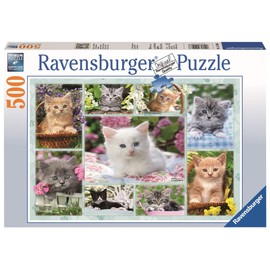 Ravensburger - Gatos y Mas Gatos Rompecabezas de 500 Piezas, Multicolor, 14196