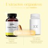Melena de León Extracto Orgánico 750mg | Hongo Adaptógeno Nootrópico
