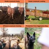 Cattle Prod, Rechargeable Electric Livestock Prod with 2 LED Lights,