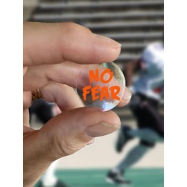 Pro-Tuff Decals No Fear Award Decals Thick mil Vinyl 1-1/8" Diameter (100 Decals) (Orange on Clear)