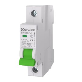 KERWINN DC Miniature Circuit Breaker 12V-110V Circuit Breaker 1Pole 50Amp Smart Circuit Breaker DIN Rail Mount for Battery Power Systems,Solar photovoltaic Systems(C50A)