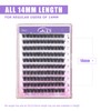 GAQQI Lash Clusters, Eyelash Clusters DIY Lash Extensions D Curl