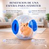 SEAFON Esfera para Hamster De 12 cm, Plástico Resistente a