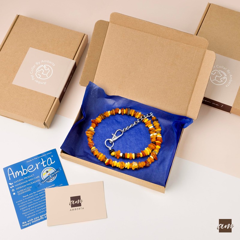Amberta Amber Collar for Dogs and Cats | Amber Necklace