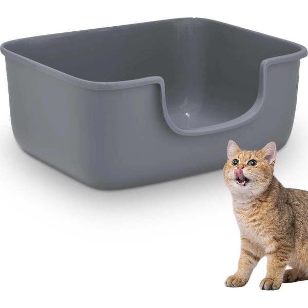 AVIUIA Large Cat Litter Box with High Sides, Open Kitty