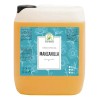 Tónico Facial De Manzanilla Equilibrante De Ph Spa 10 Lts