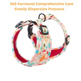 Adjustable Dog Harness and Leash Set for Girl Air Mesh Dog Vest Harness 5Ft Dog Training Leash with Soft Handle Pet Escape Proof for Small Medium Large Dogs (Dinosaur, S)