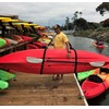 Kayak, Canoe and SUP Big Board Schlepper SUP Sling Strap