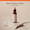 Bach Original Flower Remedies, Cherry Plum - Be in Control