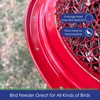 Backyard Essentials Collapsible Metal Mesh Bird Feeder with Tray -