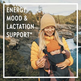 New Chapter, Perfect Postnatal, 96 Tablets