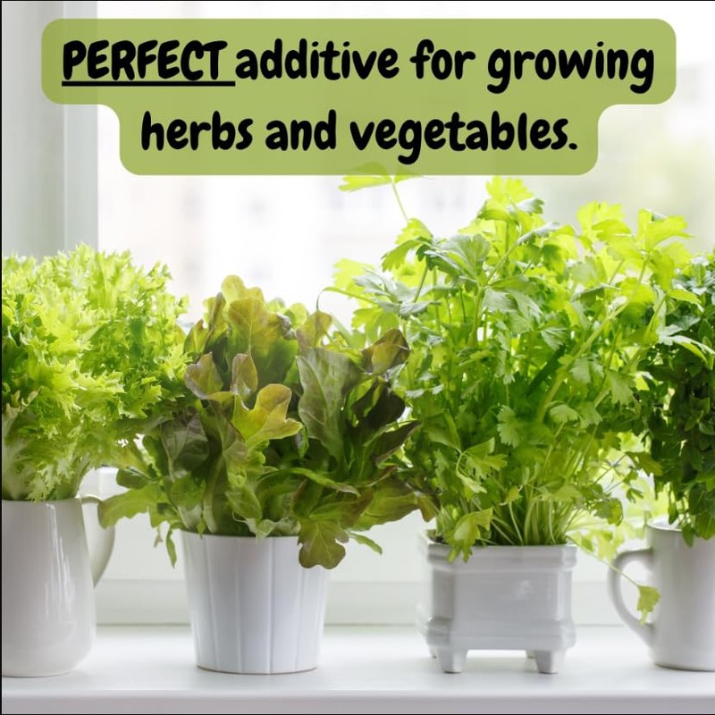 Soil Sunrise Greensand Soil Additive (5 Pounds) Special Container Gardening