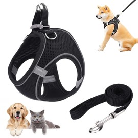 Reflective Anti-Pull Dog Harness & Leash Set | Adjustable Step-in No-Pull Vest with Anti-Twist Lead | for Small/Medium Dogs Training, Night Walking (Black, Size M)