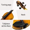 Silvio Violin Set 4/4 Full Size Includes Carrying Case And