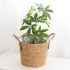 LIUWEIBIN Flower Pot Planter Wicker Planter with Handle Storage Basket