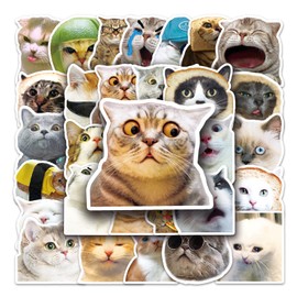 50 Pcs of Cute Kawaii Cat Meme Stickers - Funny Decals for Adults, Teens | Personalizing Skateboard,Bicycle,Notebooks,Stationery,Laptop,Water Bottles