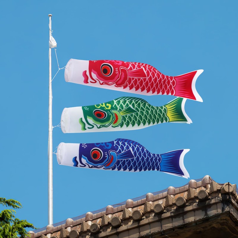Toddmomy Japanese Carp Windsocks Koinobori Fish Flags Koi Flags Outdoor
