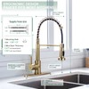 WEWE Brushed Gold Kitchen Faucet with Pull Down Sprayer, RV