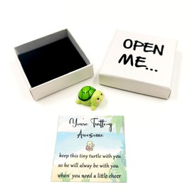 WENGIFT I Love You Awesome Turtle Desk Buddy Cute little Pocket Hug Turtle Lover Best Friend Gift