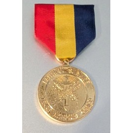 ANODIZED Texas National Guard - Texas Faithful Service Medal - New