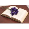6 Purple Half Open Bud Wooden Roses for Crafts Custom