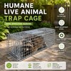 Large Animal Trap Cage for Live Capture – Foldable Stainless